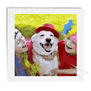 Paint by numbers 20x20 - DIY FRAME  - 20 x 20 in